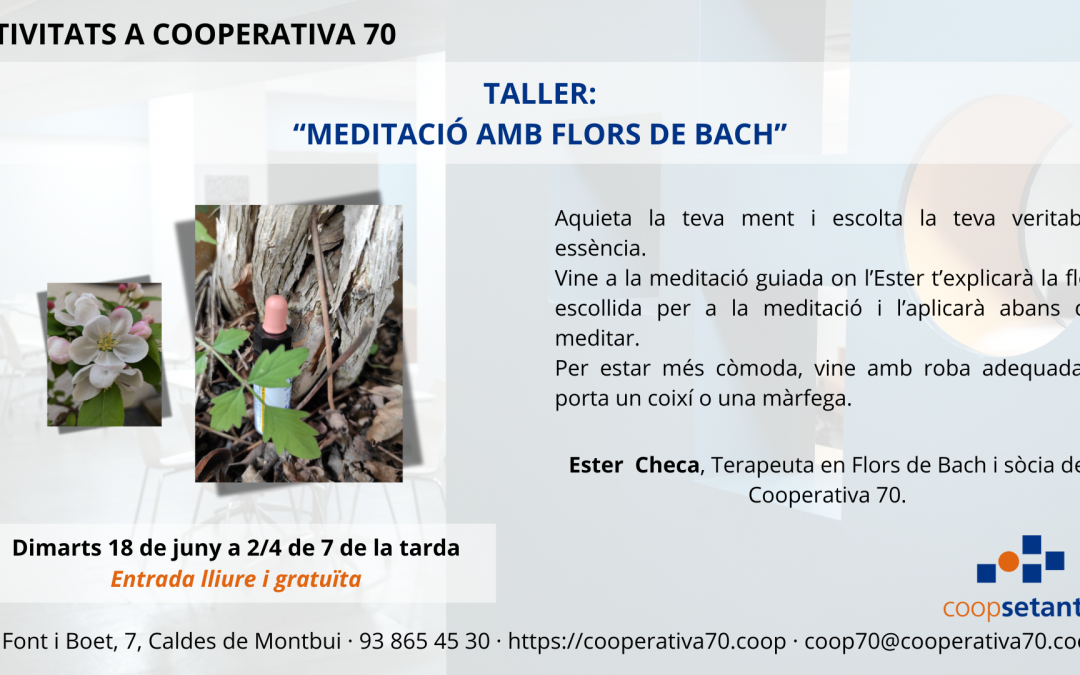 Taller de meditació amb flors de Bach